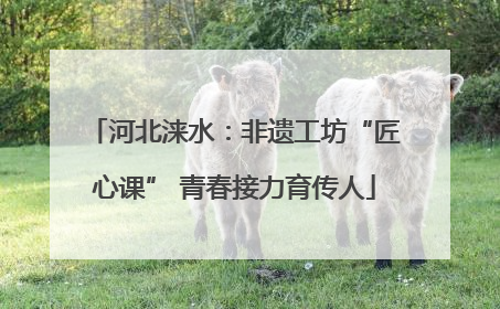 河北涞水：非遗工坊“匠心课” 青春接力育传人