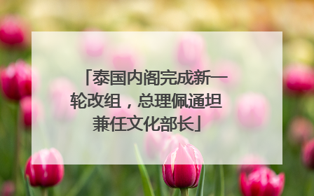 泰国内阁完成新一轮改组，总理佩通坦兼任文化部长