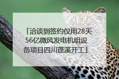 洽谈到签约仅用28天 56亿微风发电机组设备项目四川蓬溪开工