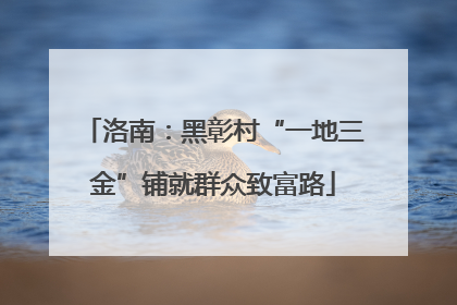洛南：黑彰村“一地三金”铺就群众致富路