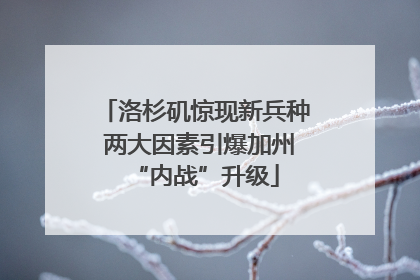 洛杉矶惊现新兵种 两大因素引爆加州“内战”升级