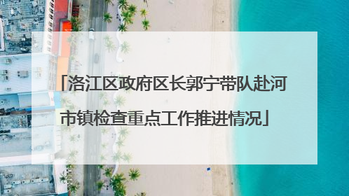 洛江区政府区长郭宁带队赴河市镇检查重点工作推进情况