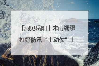 洞见岳阳丨未雨绸缪 打好防汛“主动仗”