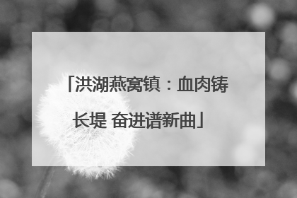 洪湖燕窝镇：血肉铸长堤 奋进谱新曲
