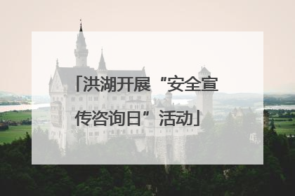 洪湖开展“安全宣传咨询日”活动