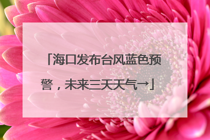海口发布台风蓝色预警，未来三天天气→