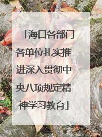 海口各部门各单位扎实推进深入贯彻中央八项规定精神学习教育