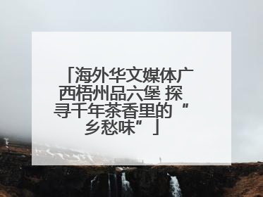 海外华文媒体广西梧州品六堡 探寻千年茶香里的“乡愁味”