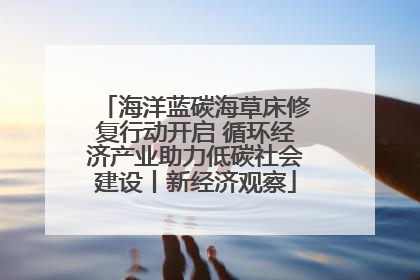 海洋蓝碳海草床修复行动开启 循环经济产业助力低碳社会建设丨新经济观察