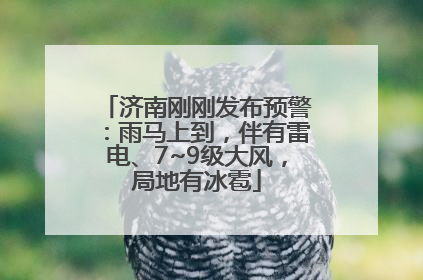 济南刚刚发布预警：雨马上到，伴有雷电、7~9级大风，局地有冰雹