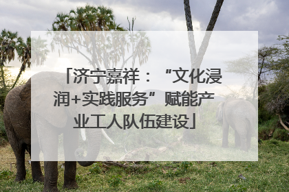 济宁嘉祥：“文化浸润+实践服务”赋能产业工人队伍建设