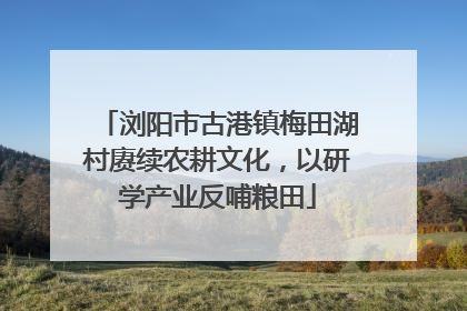 浏阳市古港镇梅田湖村赓续农耕文化，以研学产业反哺粮田