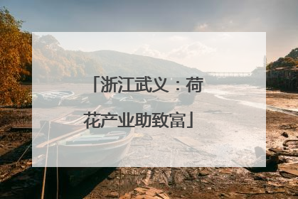 浙江武义：荷花产业助致富