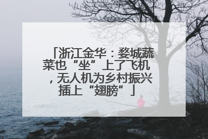 浙江金华：婺城蔬菜也“坐”上了飞机，无人机为乡村振兴插上“翅膀”