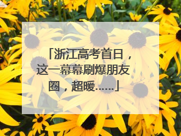 浙江高考首日，这一幕幕刷爆朋友圈，超暖……