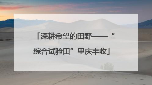 深耕希望的田野——“综合试验田”里庆丰收