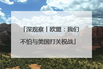深观察丨欧盟：我们不怕与美国打关税战
