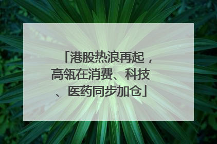 港股热浪再起，高瓴在消费、科技、医药同步加仓