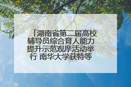 湖南省第二届高校辅导员综合育人能力提升示范观摩活动举行 南华大学获特等奖和一等奖