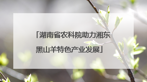 湖南省农科院助力湘东黑山羊特色产业发展