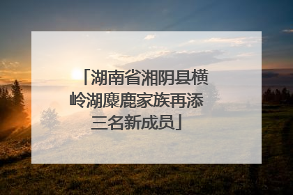湖南省湘阴县横岭湖麋鹿家族再添三名新成员