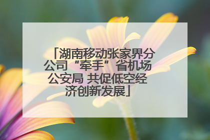 湖南移动张家界分公司“牵手”省机场公安局 共促低空经济创新发展