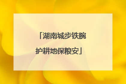 湖南城步铁腕护耕地保粮安