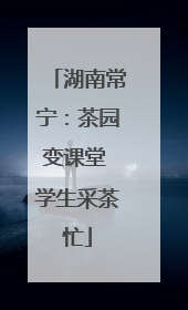 湖南常宁：茶园变课堂 学生采茶忙