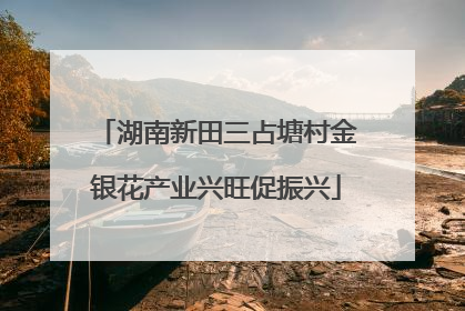 湖南新田三占塘村金银花产业兴旺促振兴