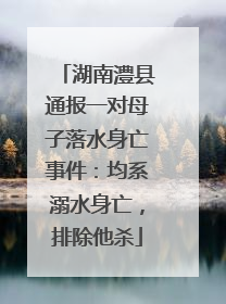 湖南澧县通报一对母子落水身亡事件：均系溺水身亡，排除他杀