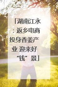 湖南江永：返乡电商投身香姜产业 迎来好“钱”景