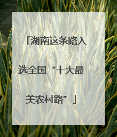 湖南这条路入选全国“十大最美农村路”