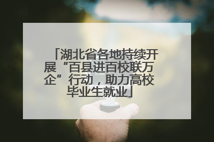 湖北省各地持续开展“百县进百校联万企”行动，助力高校毕业生就业