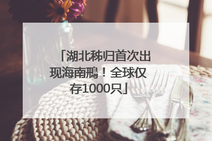 湖北秭归首次出现海南鳽！全球仅存1000只