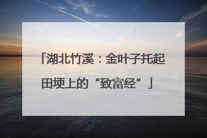 湖北竹溪：金叶子托起田埂上的“致富经”