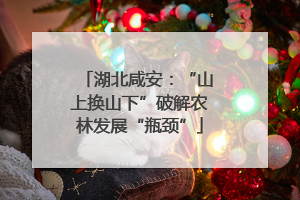 湖北咸安：“山上换山下”破解农林发展“瓶颈”