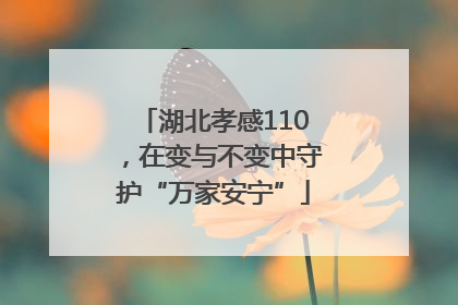 湖北孝感110，在变与不变中守护“万家安宁”