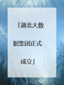 湖北大数据集团正式成立