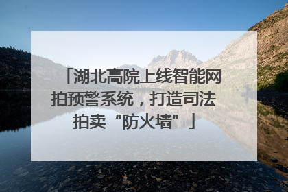 湖北高院上线智能网拍预警系统，打造司法拍卖“防火墙”