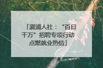 溆浦人社：“百日千万”招聘专项行动点燃就业热情