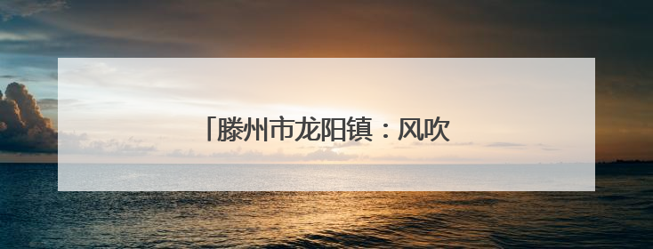 滕州市龙阳镇：风吹麦浪起 小麦迎丰收