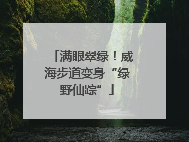 满眼翠绿！威海步道变身“绿野仙踪”