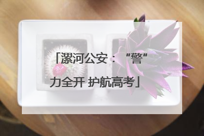 漯河公安：“警”力全开 护航高考