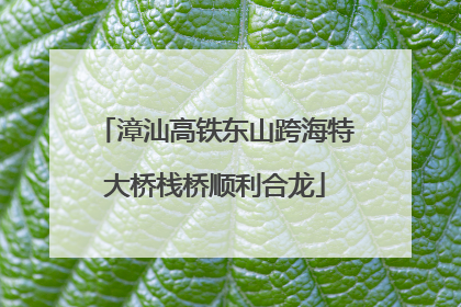 漳汕高铁东山跨海特大桥栈桥顺利合龙