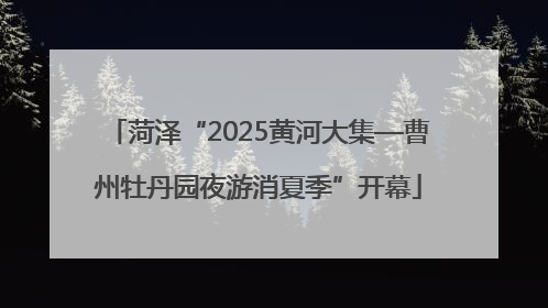 菏泽“2025黄河大集—曹州牡丹园夜游消夏季”开幕