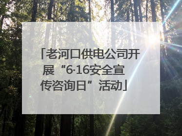 老河口供电公司开展“6·16安全宣传咨询日”活动