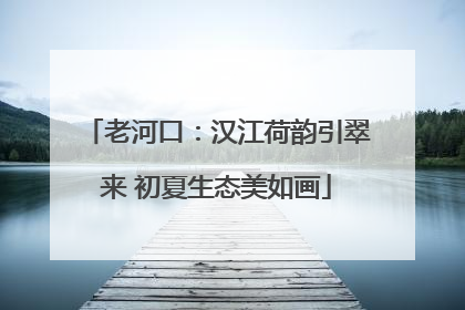 老河口：汉江荷韵引翠来 初夏生态美如画