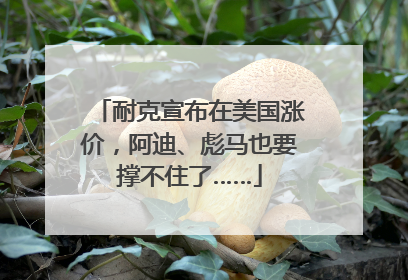 耐克宣布在美国涨价，阿迪、彪马也要撑不住了……