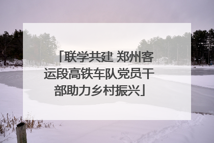 联学共建 郑州客运段高铁车队党员干部助力乡村振兴