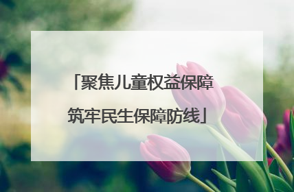 聚焦儿童权益保障 筑牢民生保障防线